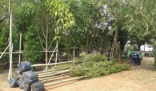 14043_466087130248078_529196780685224943_n